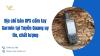 a-chi-ban-gps-cam-tay-garmin-tai-tuyen-quang-uy-tin-chat-luong-1743605882