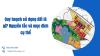 quy-hoach-su-dung-dat-la-gi-thumbnail-1750387999