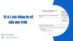 Từ A-Z các thông tin về mẫu đơn 11ĐK 